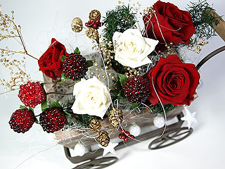 �N���X�}�X�A�����W