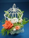 Bird cage