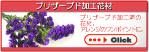 �v���U�[�u�h�ԍށ@�v���U�[�u�h���H�ς̉ԍށB�A�����W�̃����|�C���g�ɁB