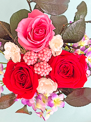 Red roseioj