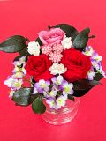 Red roseioj