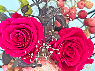 Japanese spring�i�a�̏t�j