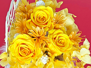 yellow flower�i���F���ԁj